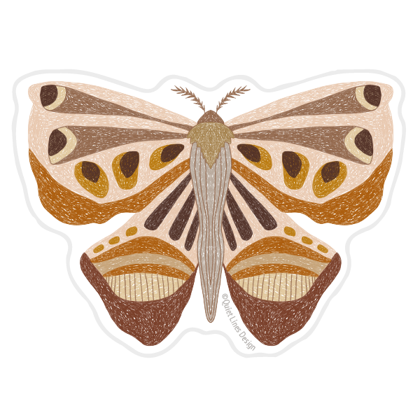 Woodland Moth Sticker